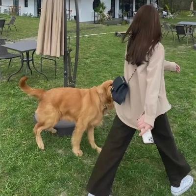 秘密访客